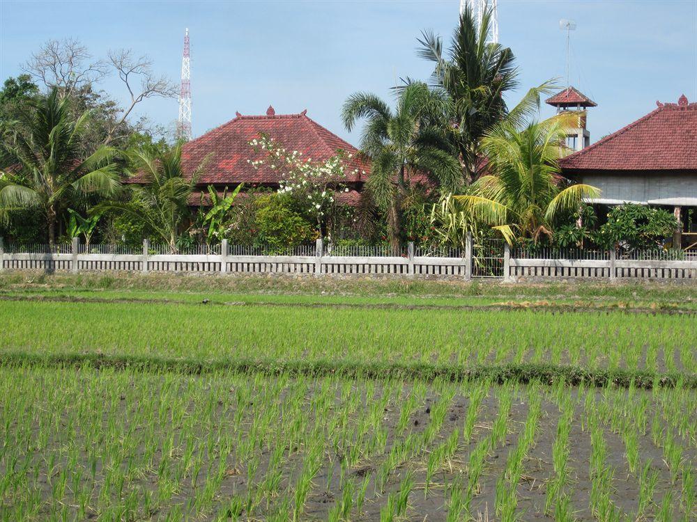 Mumbul Guest House Lovina  Luaran gambar